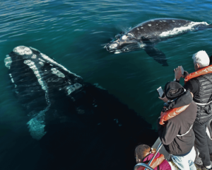 PUERTO MADRYN
