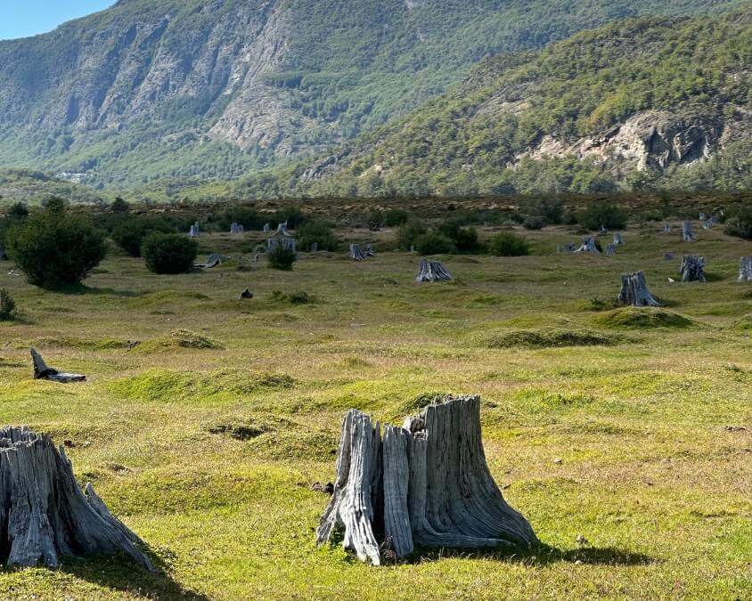 PARC NATIONAL TERRE DE FEU - USHUAIA