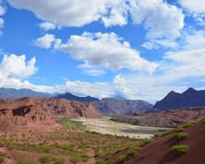 CAFAYATE - SALTA
