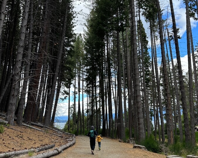 L'ÎLE VICTORIA ET MYRTLE FOREST - BARILOCHE