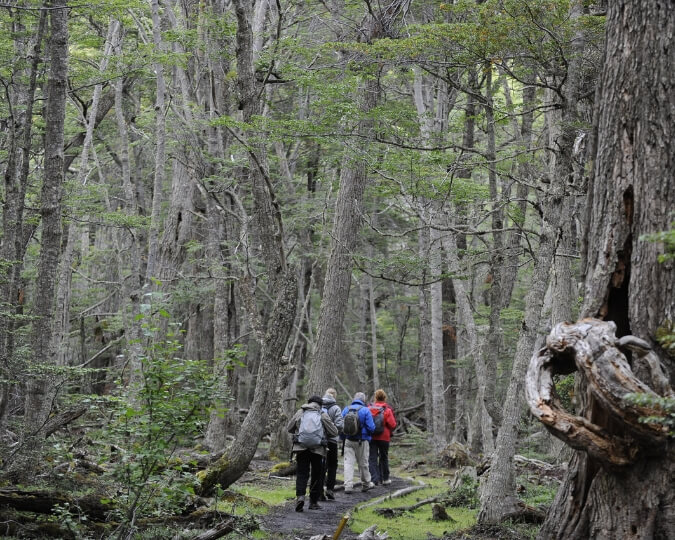 PARC NATIONAL - USHUAIA