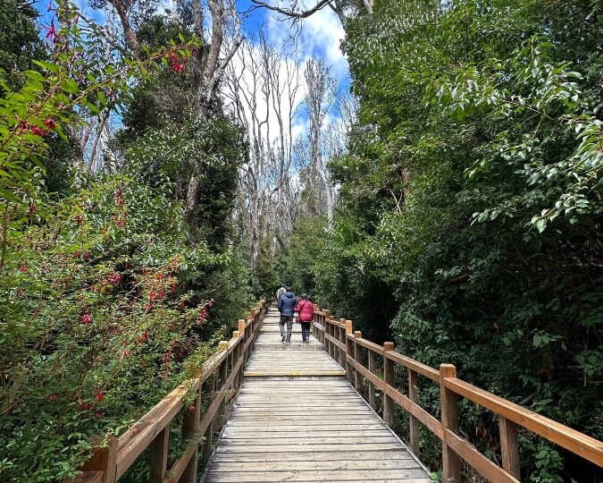 L'ÎLE VICTORIA ET MYRTLE FOREST - BARILOCHE