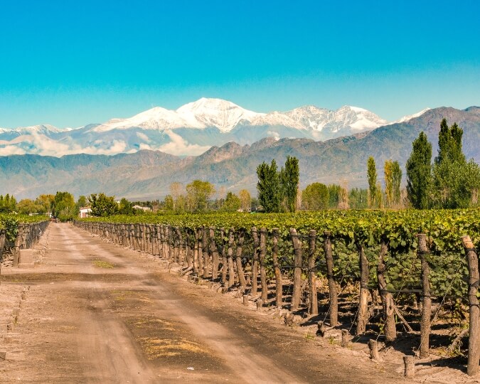 EXCURSIONS MENDOZA