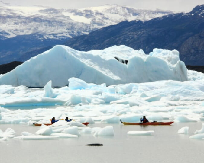 EL CALAFATE