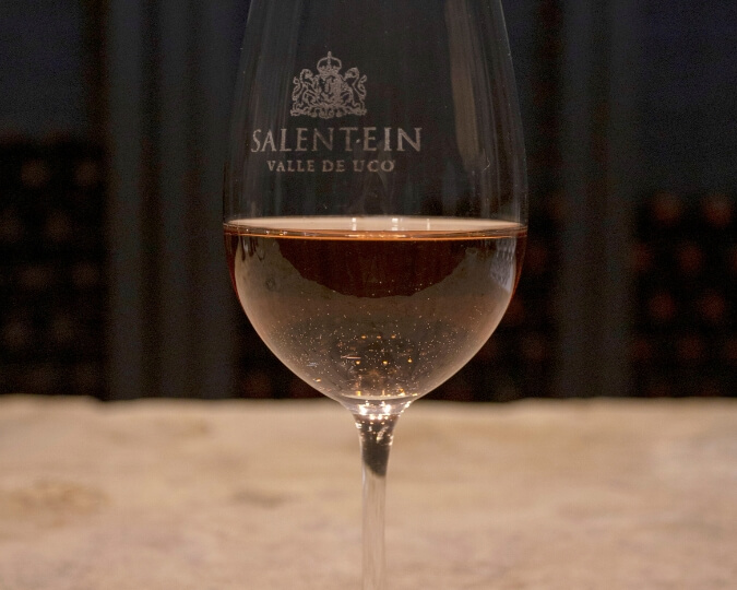TOUR DE VINS​ - MENDOZA
