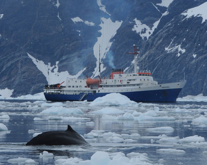 CROISIÈRE ANTARTIQUE